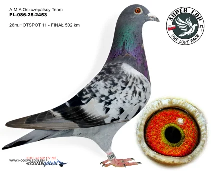 26m./finał A.M.A Oszczepalscy Team PL-086-25-2453