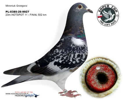 23 m. /finał  Mironiuk Grzegorz PL-0385-25-9927