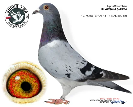 107 m. / finał Alpha Columbae PL-0294-25-4924