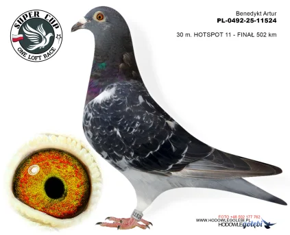 30m./finał Benedykt Artur PL-0492-25-11524