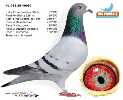 89 m./ finał Team Kado & Kermit PL-013-25-10087