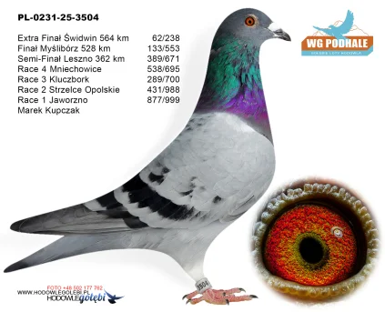 133 m. / finał Marek Kupczak PL-0231-25-3504