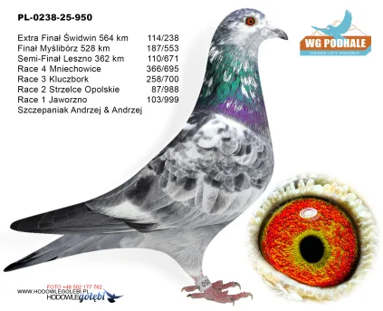 187 m. / finał Szczepaniak Andrzej & Andrzej PL-0238-25-950