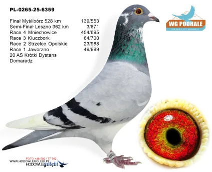 139 m. / finał Domaradz PL-0265-25-6359