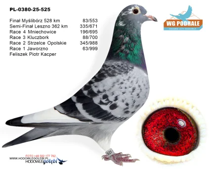 83 m. / finał Feliszek Piotr Kacper PL-0380-25-525