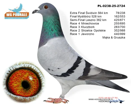 162 m, / finał Mąka & Gruszka PL-0238-25-2724