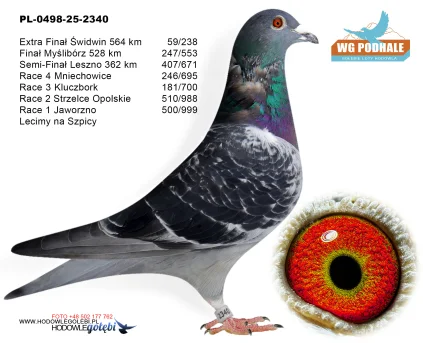 247 m. / finał Lecimy na Szpicy PL-0498-25-2340