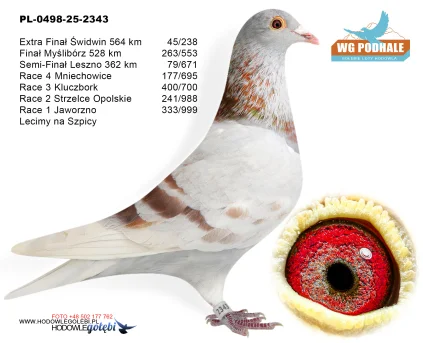 263 m. / finał Lecimy na Szpicy PL-0498-25-2343