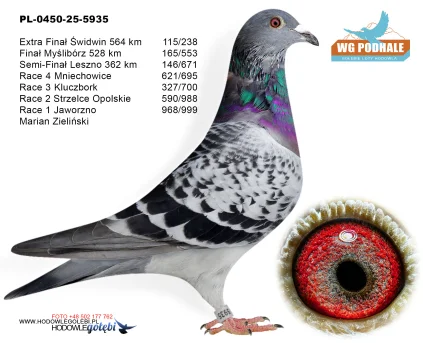 165 m. / finał Marian Zieliński PL-0450-25-5935