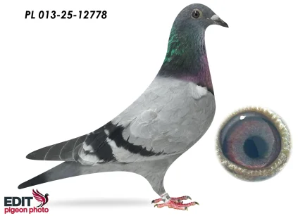 MMW Family PL- 013-25-12778