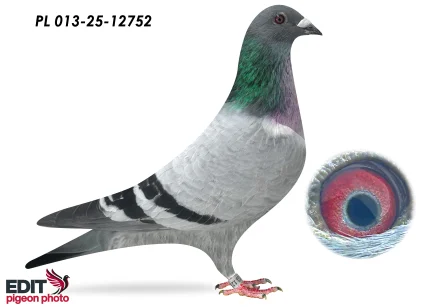 MMW Family PL- 013-25-12752