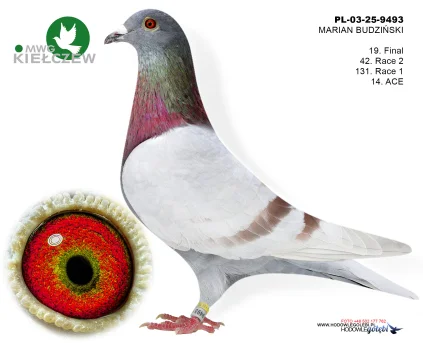 19m./finał MARIAN BUDZIŃSKI PL-03-25-9493