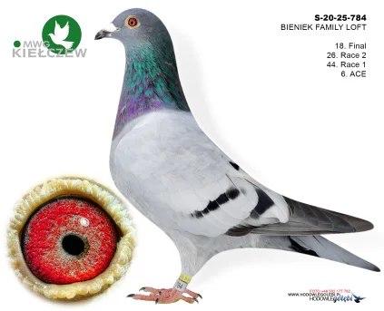 18m./finał BIENIEK FAMILY LOFT S-20-25-784