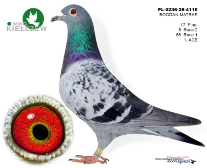 17m./finał BOGDAN MATRAS PL-0236-25-4110