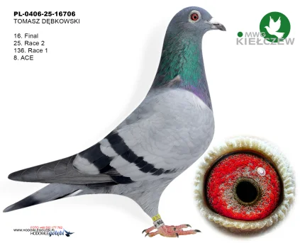 16m./finał/ TOMASZ DĘBKOWSKI PL-0406-25-16706