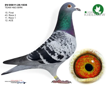 15m./finał TEAM H&O BIRK DV-05611-25-1035