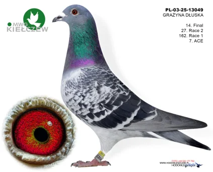 14m./finał GRAŻYNA DŁUSKA PL-03-25-13049