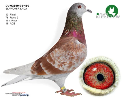 13m./finał SŁAWOMIR ŁADA DV-02899-25-450