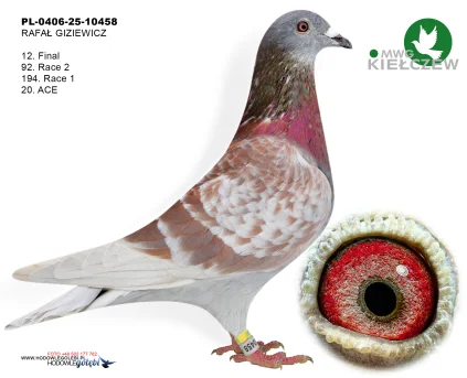 12m./finał RAFAŁ GIZIEWICZ PL-0406-25-10458