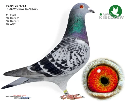 11m./finał PRZEMYSŁAW CZARNAK PL-01-25-1751