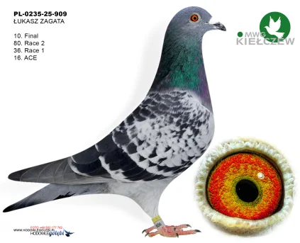 10m./finał ŁUKASZ ZAGATA PL-0235-25-909