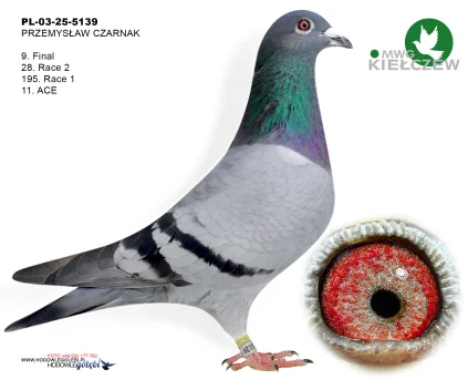 9m./finał PRZEMYSŁAW CZARNAK PL-03-25-5139