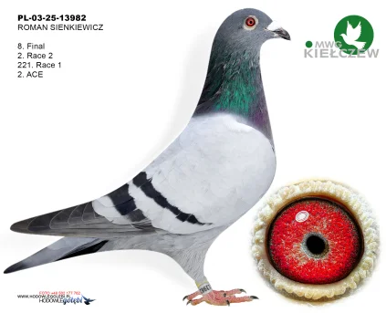8m./finał ROMAN SIENKIEWICZ PL-03-25-13982