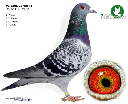 7m./finał RAFAŁ GIZIEWICZ PL-0406-25-10584