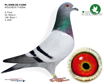 5m./finał WOJCIECH TYSZKA PL-0406-25-13380