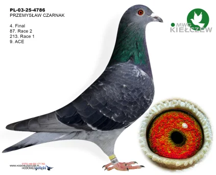 4m./finał PRZEMYSŁAW CZARNAK PL-03-25-4786