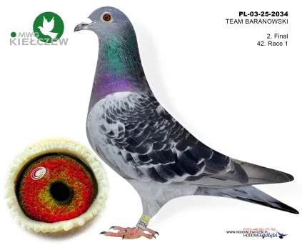 2m./finał TEAM BARANOWSKI PL-03-25-2034
