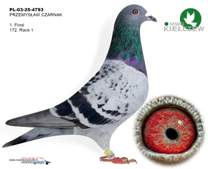 1m./finał PRZEMYSŁAW CZARNAK PL-03-25-4793