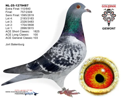 Jort Batenburg NL-25-1279487