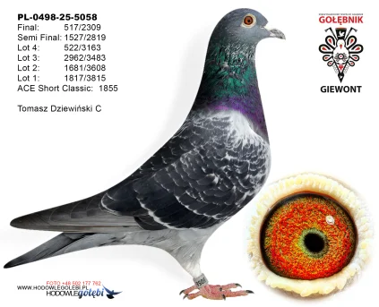 Tomasz Dziewiński B PL-0498-25-5073