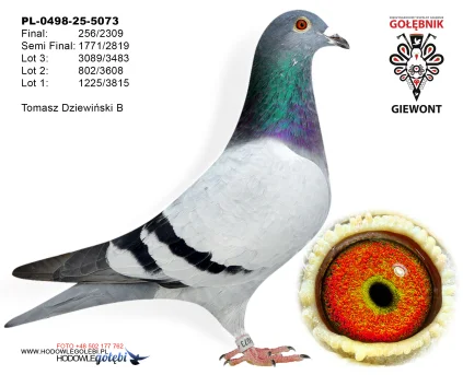 Tomasz Dziewiński B PL-0498-25-5073