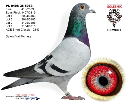 Dziewiński Tomasz PL-0498-25-5063