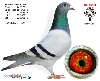 MAX-Robson +MG2 PL-0482-25-2735