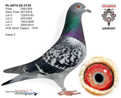 Kama 2 PL-0474-25-3135