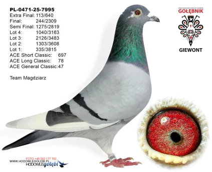 Team Magdziarz PL-0471-25-7995