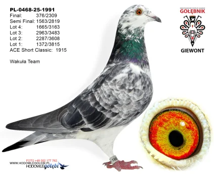 Wakuła Team PL-0468-25-1991