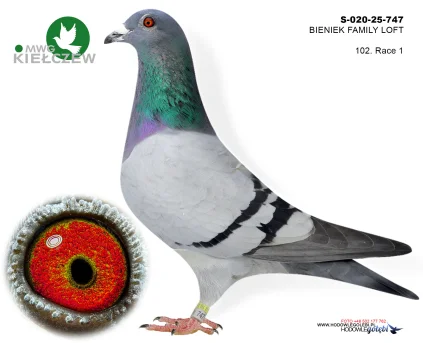 DOLOT/ BIENIEK FAMILY LOFT S-20-25-747