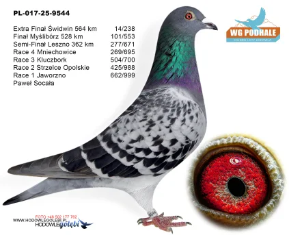 14 m./ extra finał Paweł Socała PL-017-25-9544