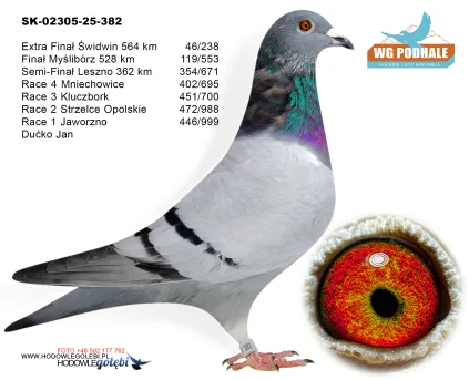 46 m./ extra finał Ducko Jan SK-02305-25-382