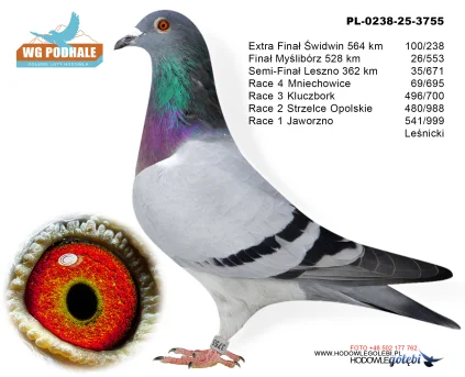 26 m./finał Leśnicki PL-0238-25-3755