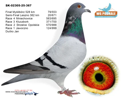 20 m./finał Ducko Jan SK-02305-25-367