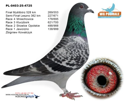 227 m./ finał Zbigniew Kowalczyk PL-0403-25-4725