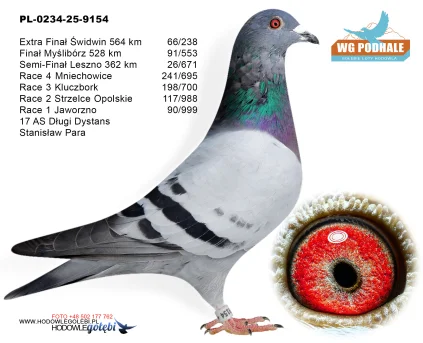 66 m./ extra finał Stanisław Para PL-0234-25-9154