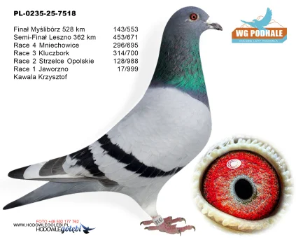 143 m,/ finał Kawala Krzysztof PL-0235-25-7518