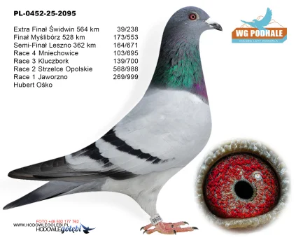 39m. / extra finał Hubert Ośko PL-0452-25-2095