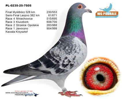 230 m./ finał Kawala Krzysztof PL-0235-25-7505